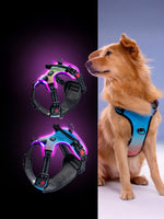 Load image into Gallery viewer, LED Dog Harness