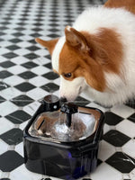 Load image into Gallery viewer, 2.8L Wireless Pet Water Feeder
