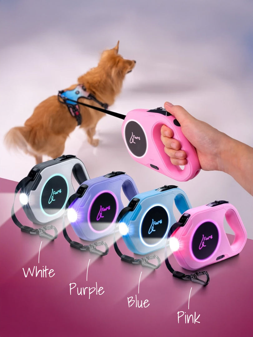 LED Retractable Leash