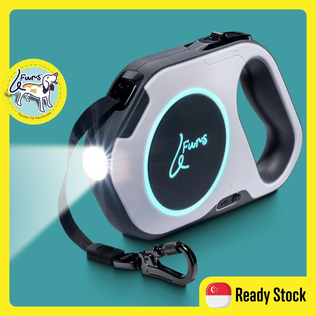 LED Retractable Leash